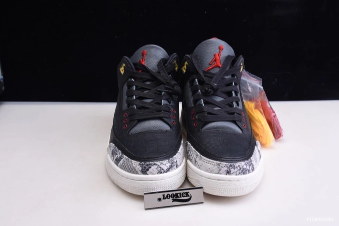 Animal Air CV3583-003 Retro Instinct Jordan 2.0 SE 3 - 0922